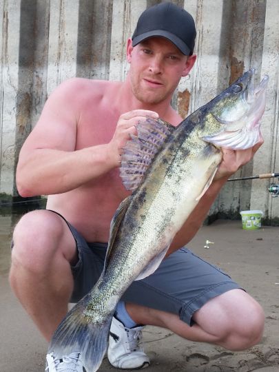 Zander