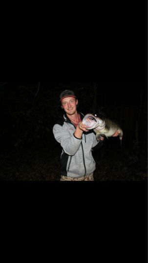 Zander