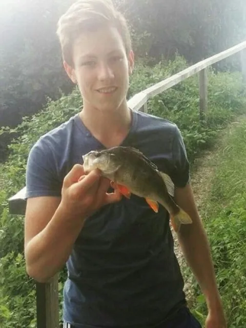 Flussbarsch