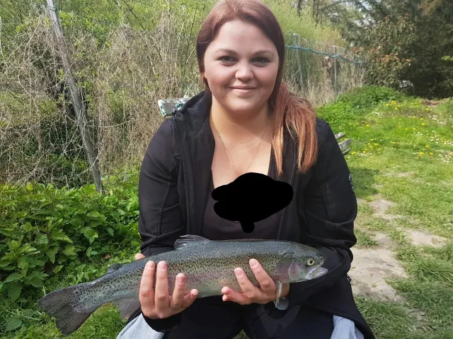 Regenbogenforelle