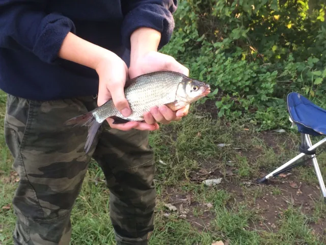 Zährte