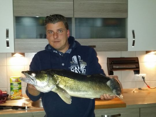 Zander