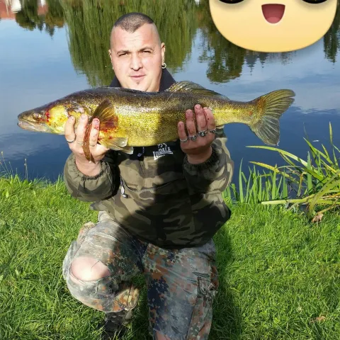 Zander