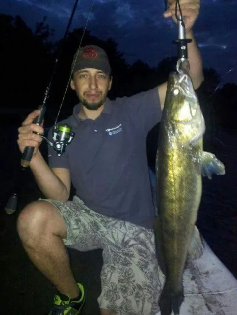 Zander