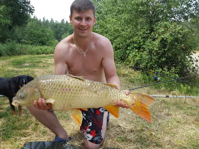 Karpfen