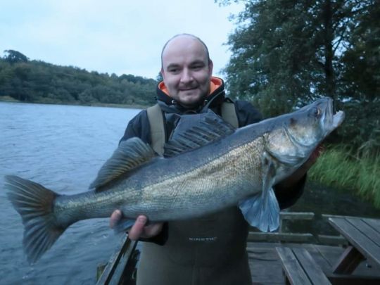 Zander