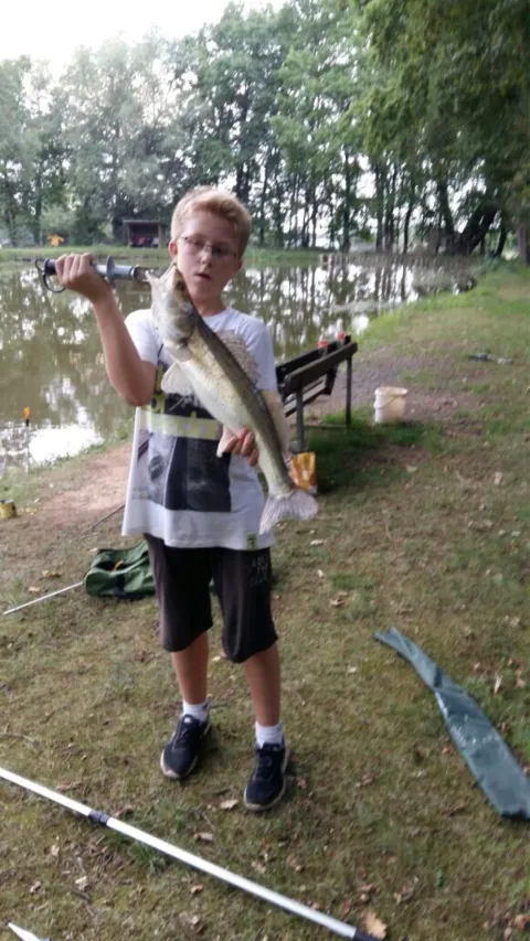 Zander