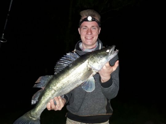 Zander