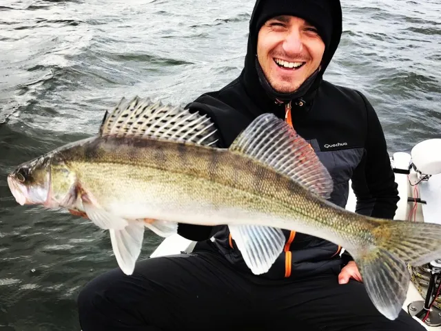 Zander
