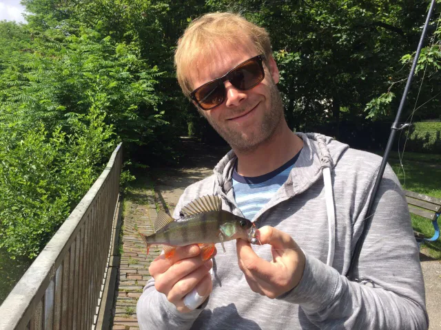 Flussbarsch