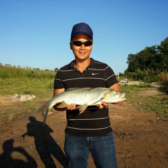 Rapfen