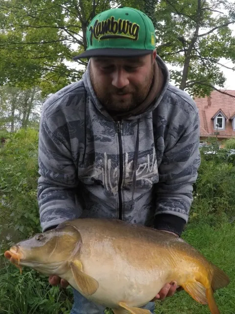Karpfen