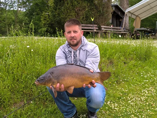 Karpfen