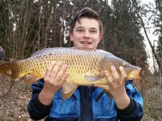 Karpfen