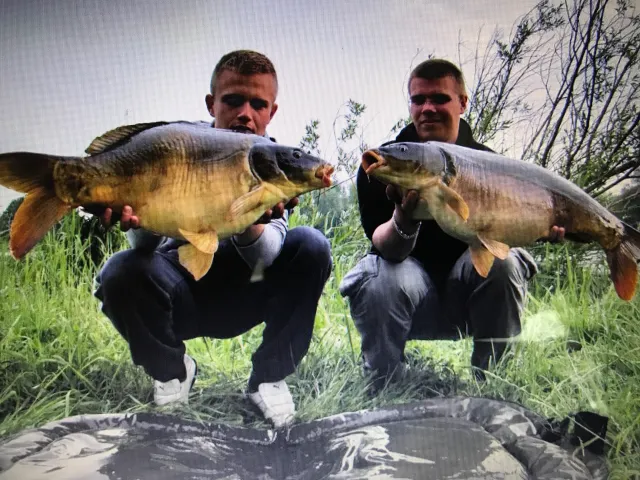 Karpfen