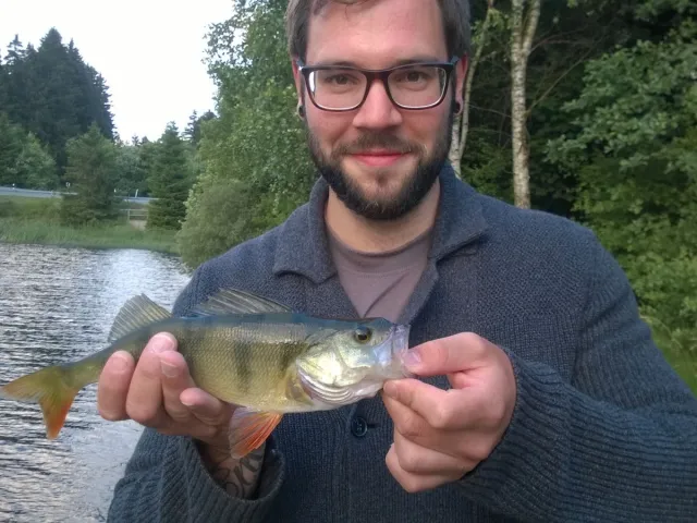 Flussbarsch