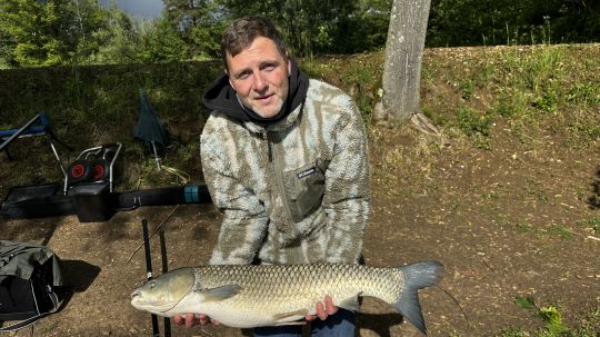 Graskarpfen