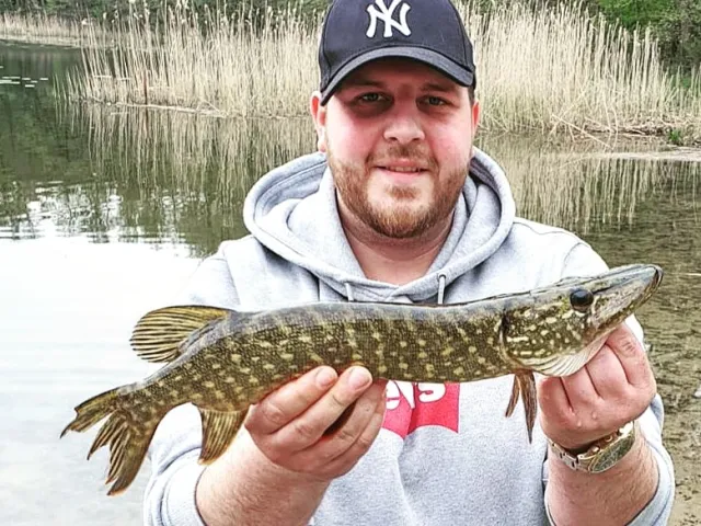 Hecht