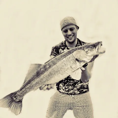 Zander