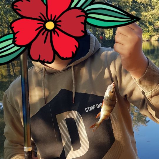 Flussbarsch