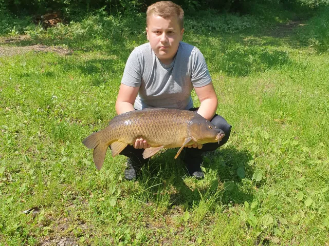 Karpfen