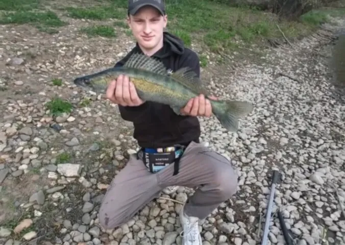 Zander