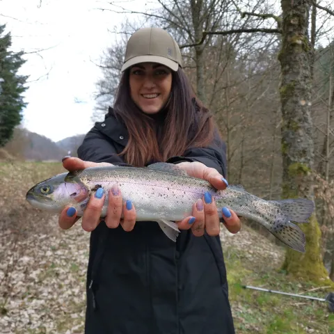 Regenbogenforelle