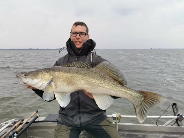 Zander
