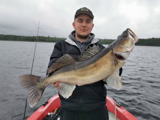 Zander