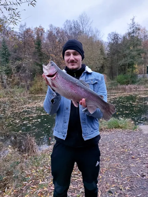 Regenbogenforelle