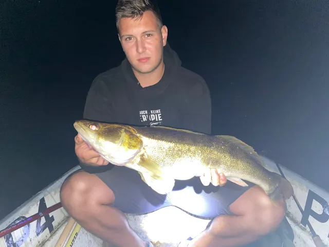 Zander