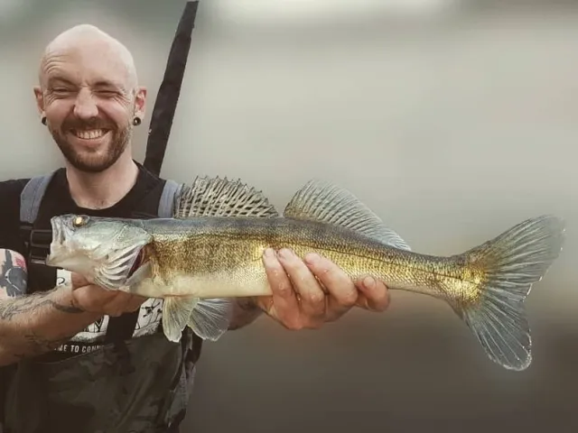 Zander