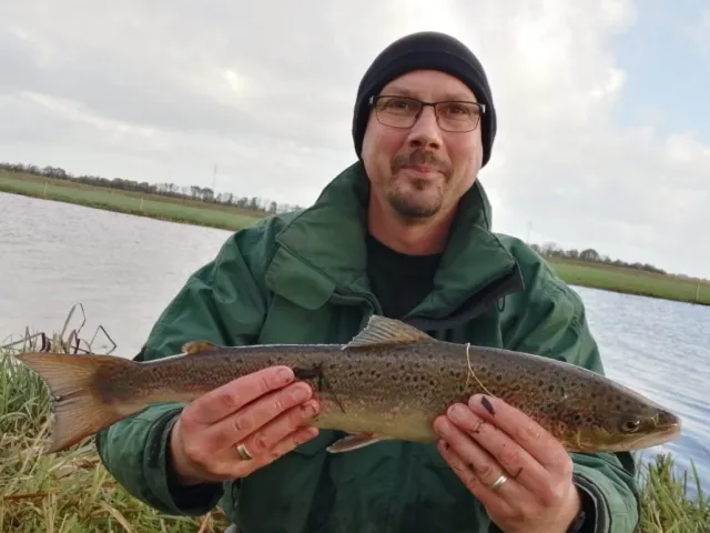 Lachs