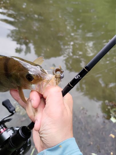 Rohrdorfer Achen ALLE ANGELN