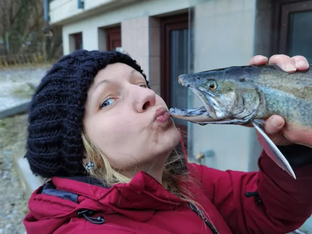 Elsässer Saibling