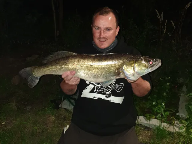 Zander