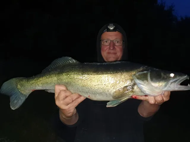 Zander
