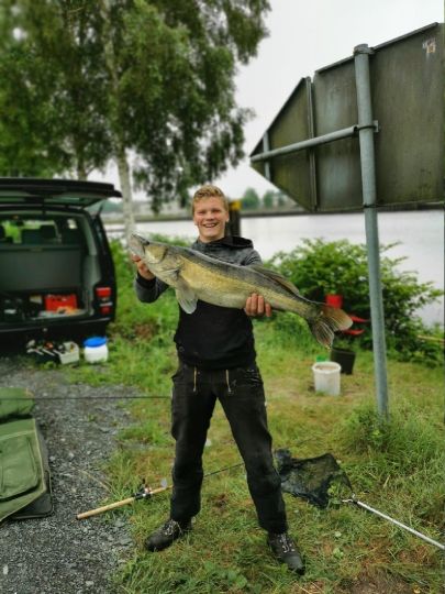Zander
