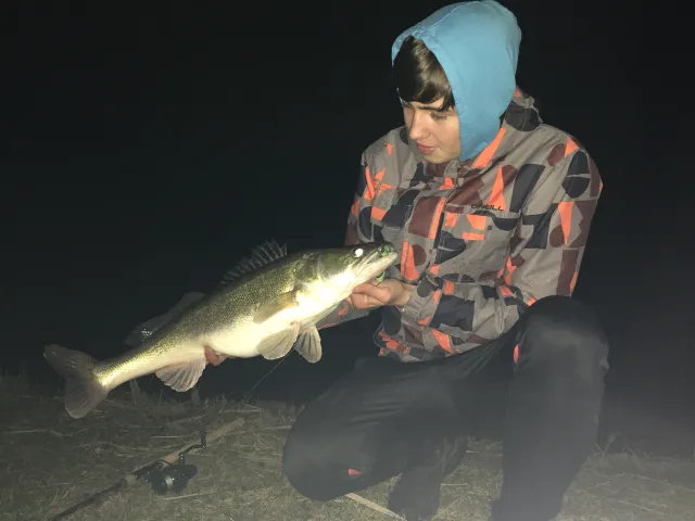 Zander