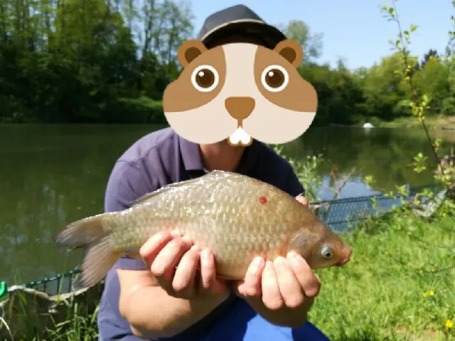 Giebel