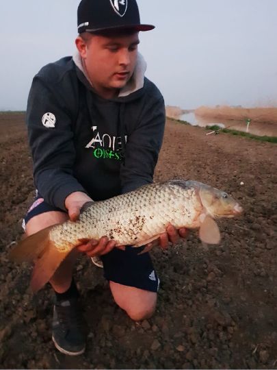 Karpfen