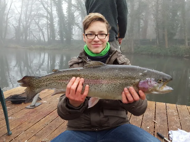 Regenbogenforelle