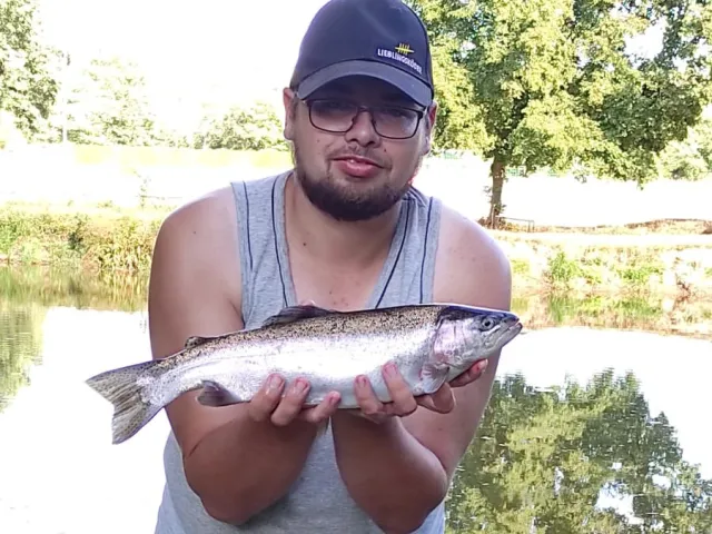 Regenbogenforelle