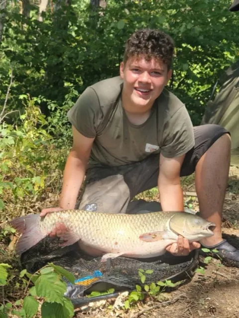 Graskarpfen