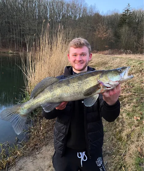 Zander