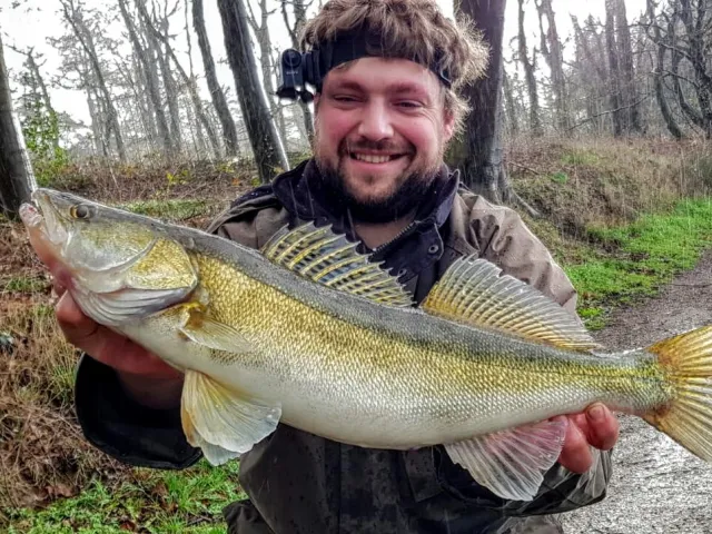 Zander