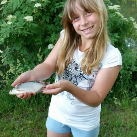 Flussbarsch