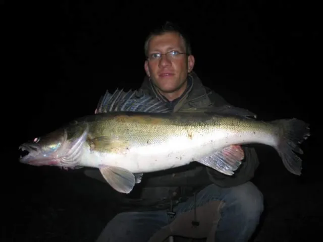 Zander