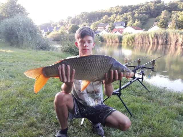 Karpfen