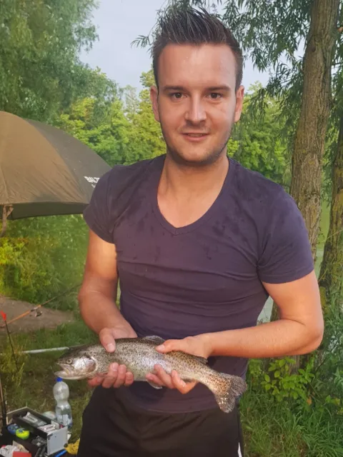 Regenbogenforelle